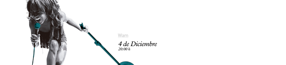 The Excitements